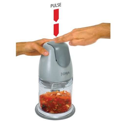 Ninja Master Prep QB900 Review