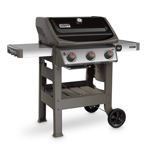 Weber Genesis ii e 310 Review