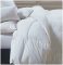 Best Silk Comforters 2019  Silk Duvets any Good