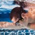 Italian Court Ruling on Erogenous Zones Amounts to a Cold Shower for Latin Love
