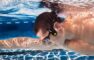 the best waterproof mp3 player 2019